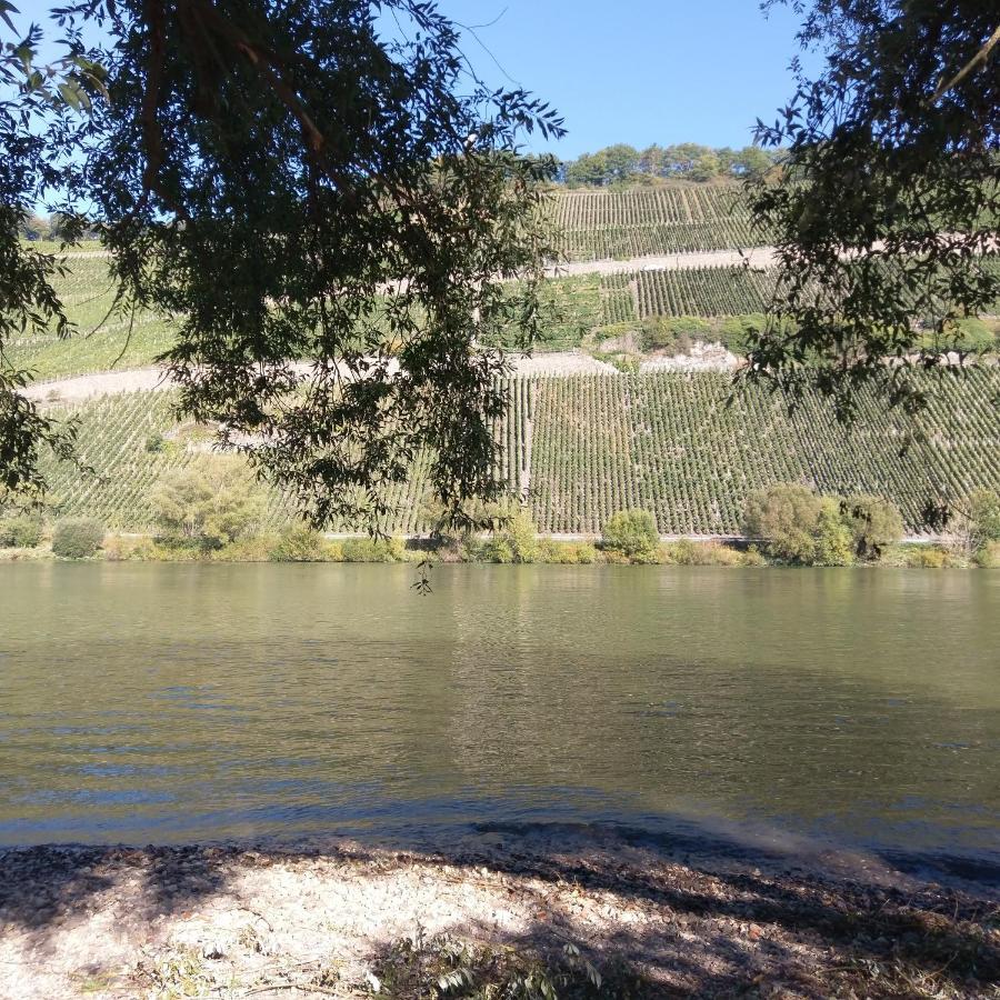 Fewo Sonnenlay - Apartments An Der Mosel Brauneberg Esterno foto