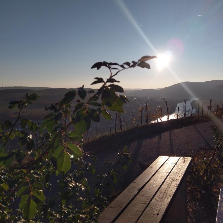 Fewo Sonnenlay - Apartments An Der Mosel Brauneberg Esterno foto