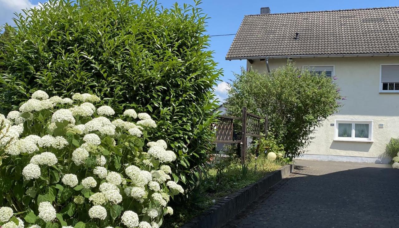 Fewo Sonnenlay - Apartments An Der Mosel Brauneberg Esterno foto